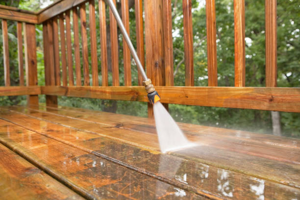 Best Roof Power Washing Services  in Shenandoah, VA